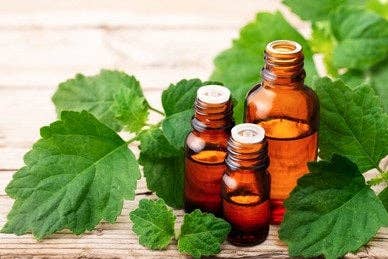 Patchouli Earthy Aroma Fragrance Oil