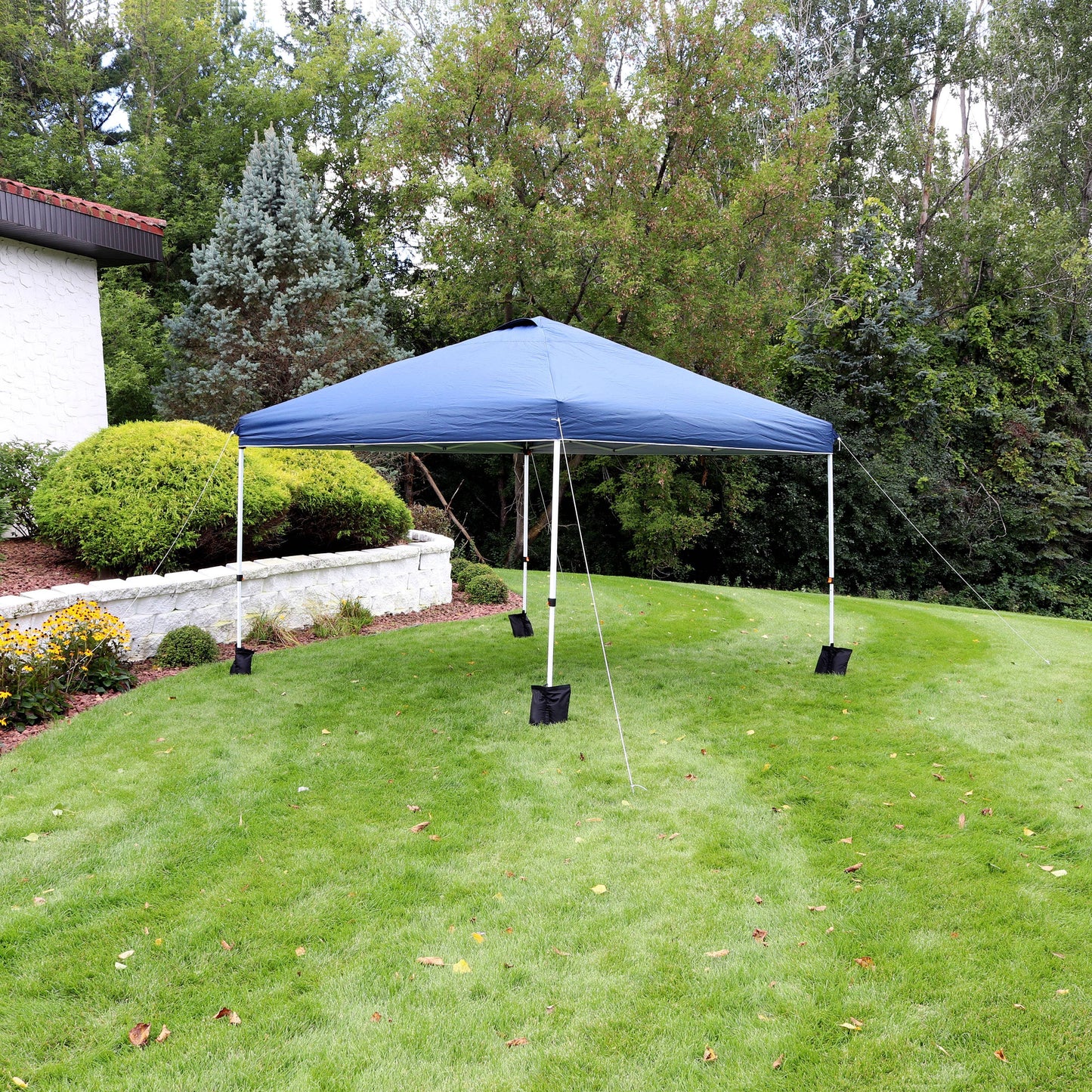 Premium Pop-Up Canopy with Sandbags - 12 ft x 12 ft - Blue